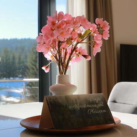 Apartman Pod Plesivcem 阿贝尔塔米 外观 照片